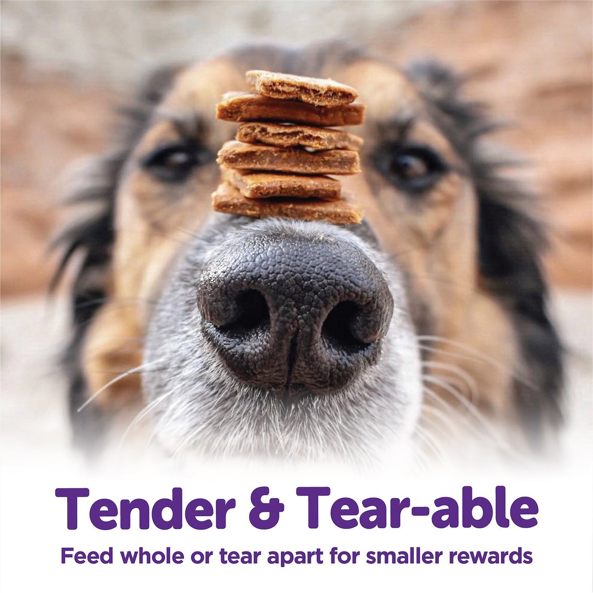 Wellness Rewarding Life Beef and Turkey Grain-Free Soft and Chewy Dog Treats