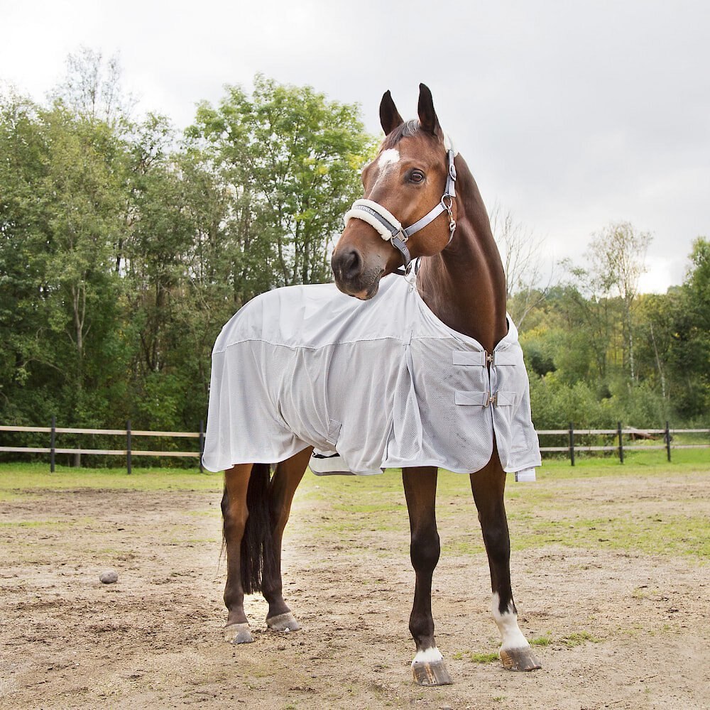 Horze Equestrian Nevada Turnout 600D Horse Fly Sheet