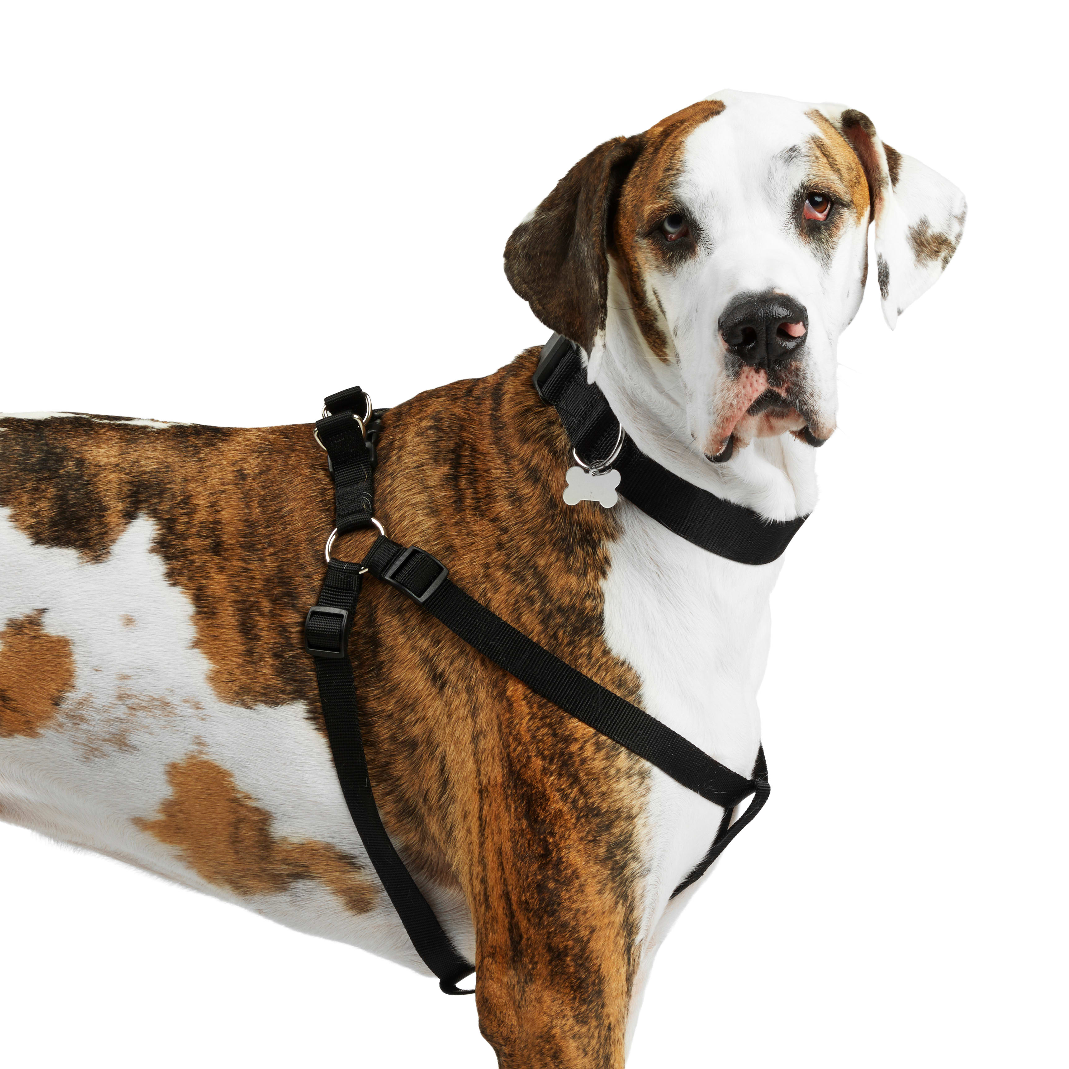 YOULY Black Dog Harness， X-Small