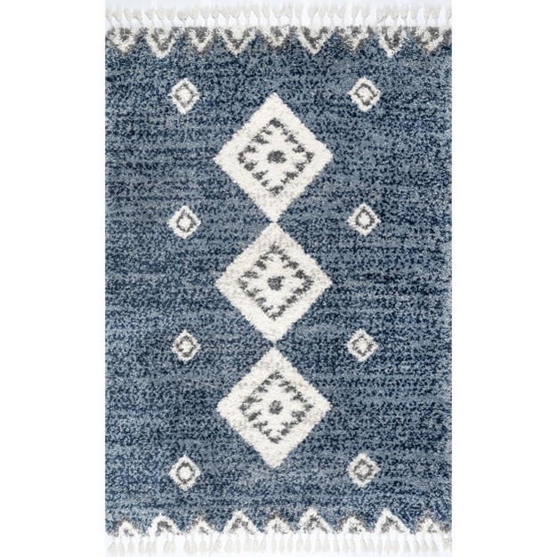 Nuloom Transitional Regina Shag Area Rug