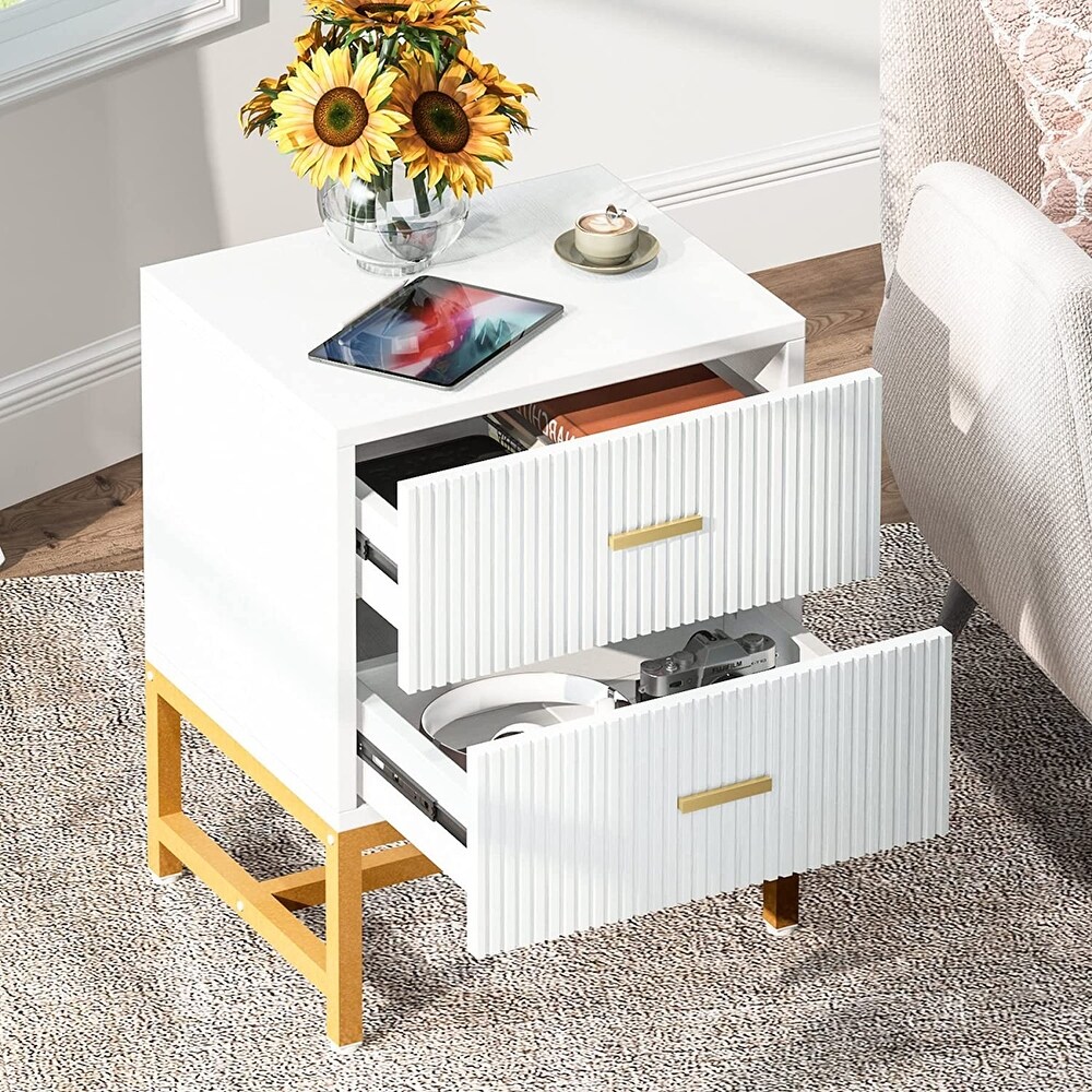 Nightstand 2 Drawer  Bed Side Table with Storage Cabinet End Table