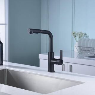 Ultra Faucets Hena Single-Handle Pull-Out Sprayer Kitchen Faucet with Accessories in Rust and Spot Resist in Matte Black UF13707