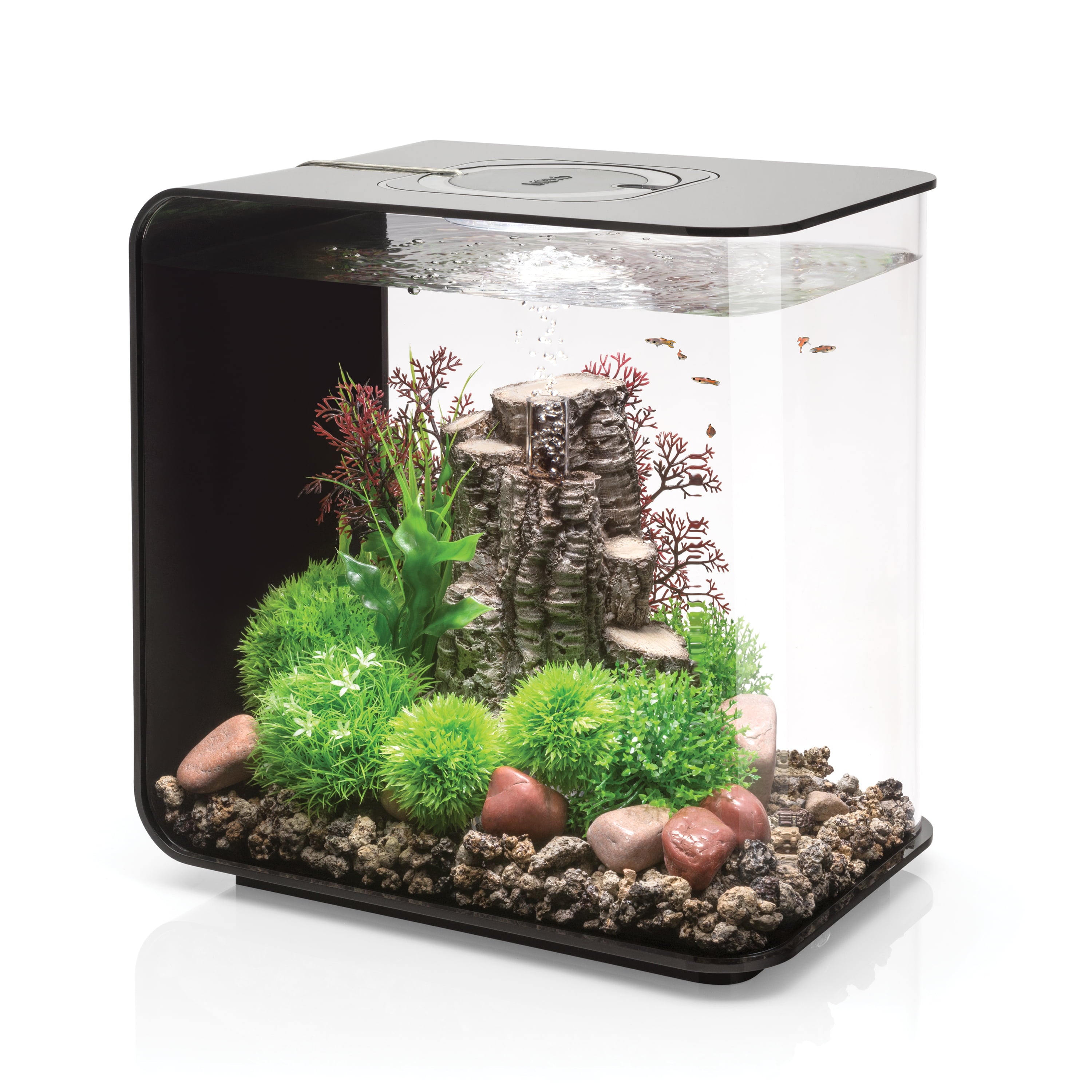 biOrb Flow 30 Aquarium with Standard Light， 8 Gallon， Black