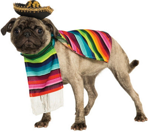 Ruby Slipper Sales 219938 Serape Mexican Dog Costu...