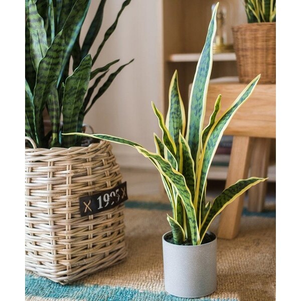 RusticReach Potted Artificial Snake Plant Yellow Edged Leaf