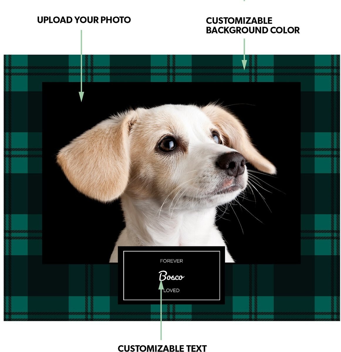 Frisco Personalized Plaid Gallery-Wrapped Canvas