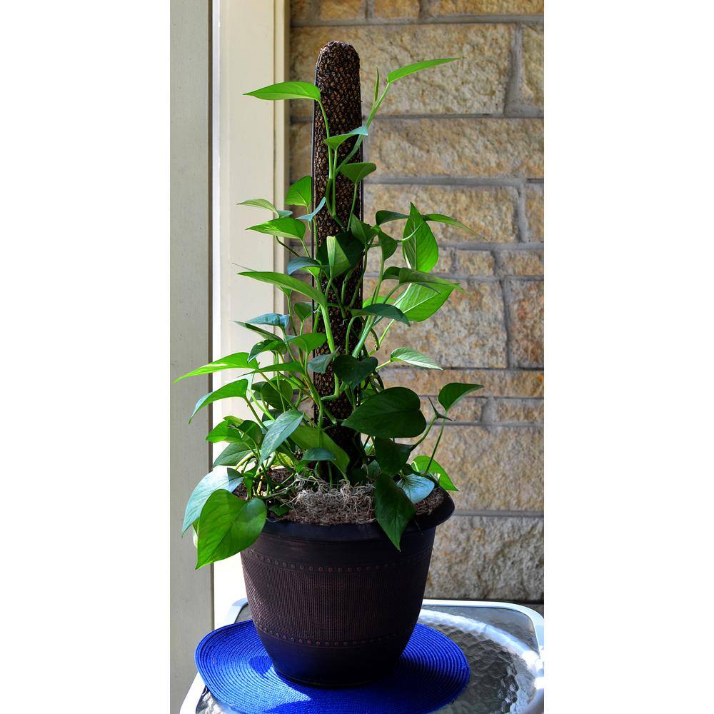 Mosser Lee 30 in. Totem Pole Plant Support KEW1020