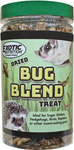 Exotic Nutrition Bug Blend Small Animal Treats， 1.71-oz jar