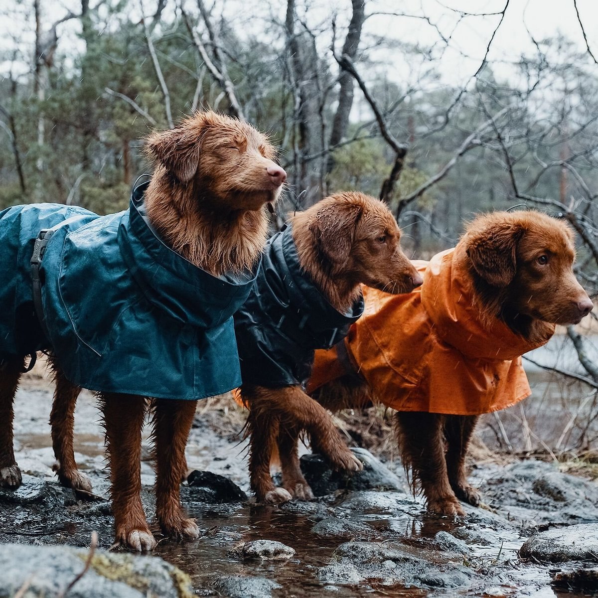 Hurtta Monsoon Dog Raincoat