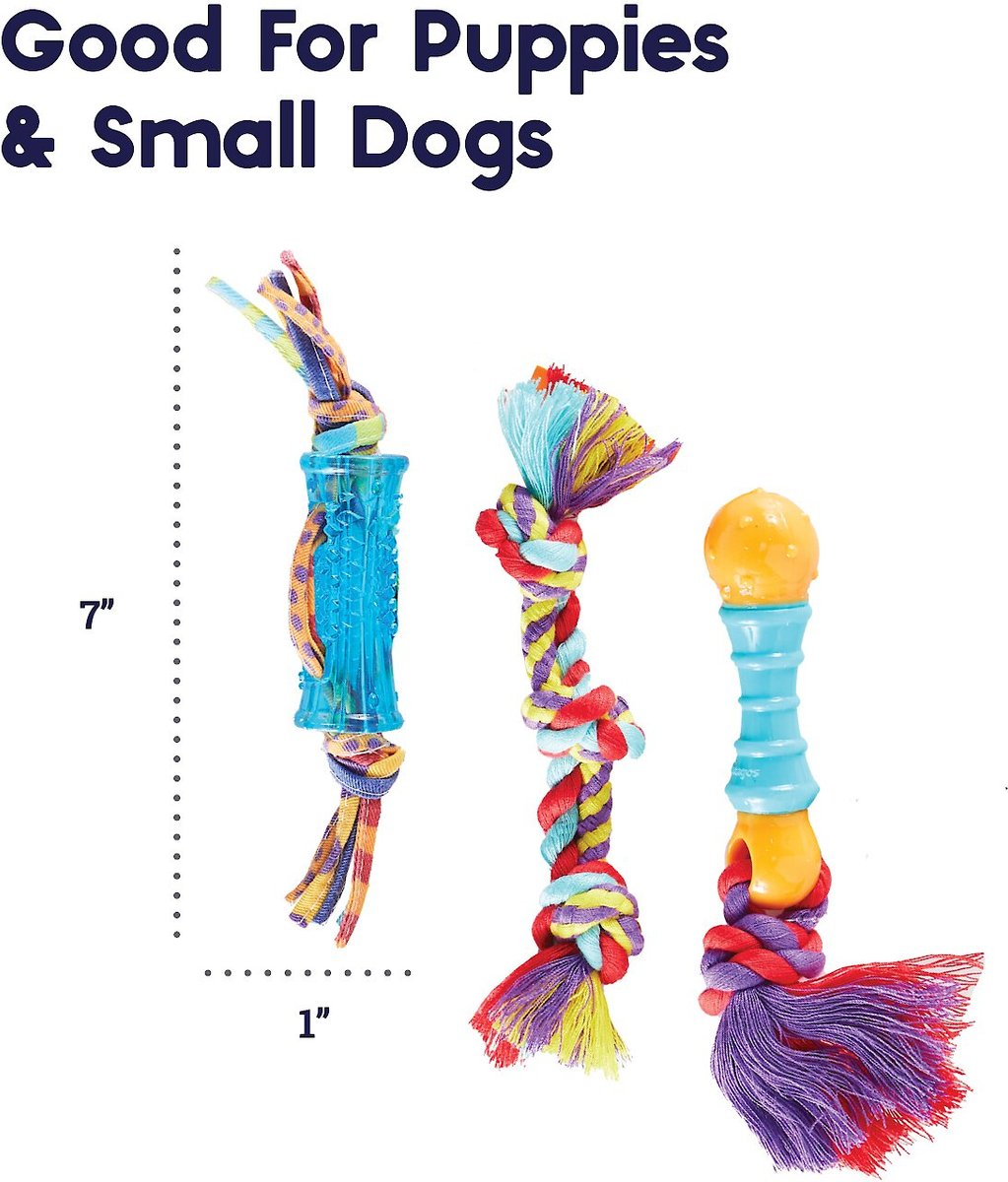 Outward Hound Dental Chew Pack Dog Toy