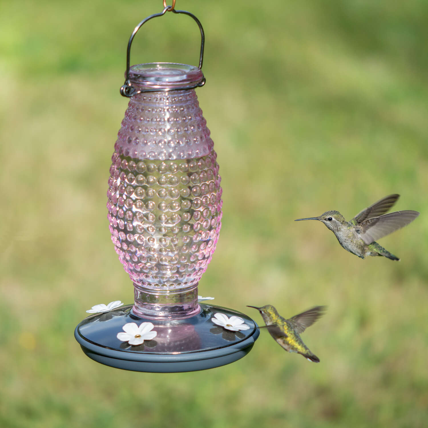 Perky-Pet Hummingbird 16 oz Glass/Metal Nectar Feeder 4 ports