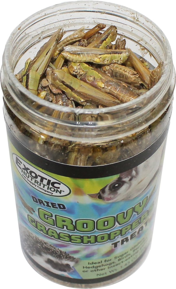 Exotic Nutrition Groovy Grasshoppers Small Animal Treats， 1.41-oz jar