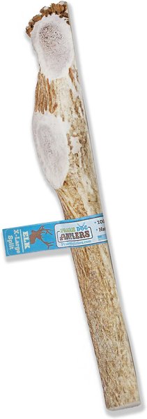 Prairie Dog Split Elk Antler Dog Chews， 9.5 - 10.5 inch