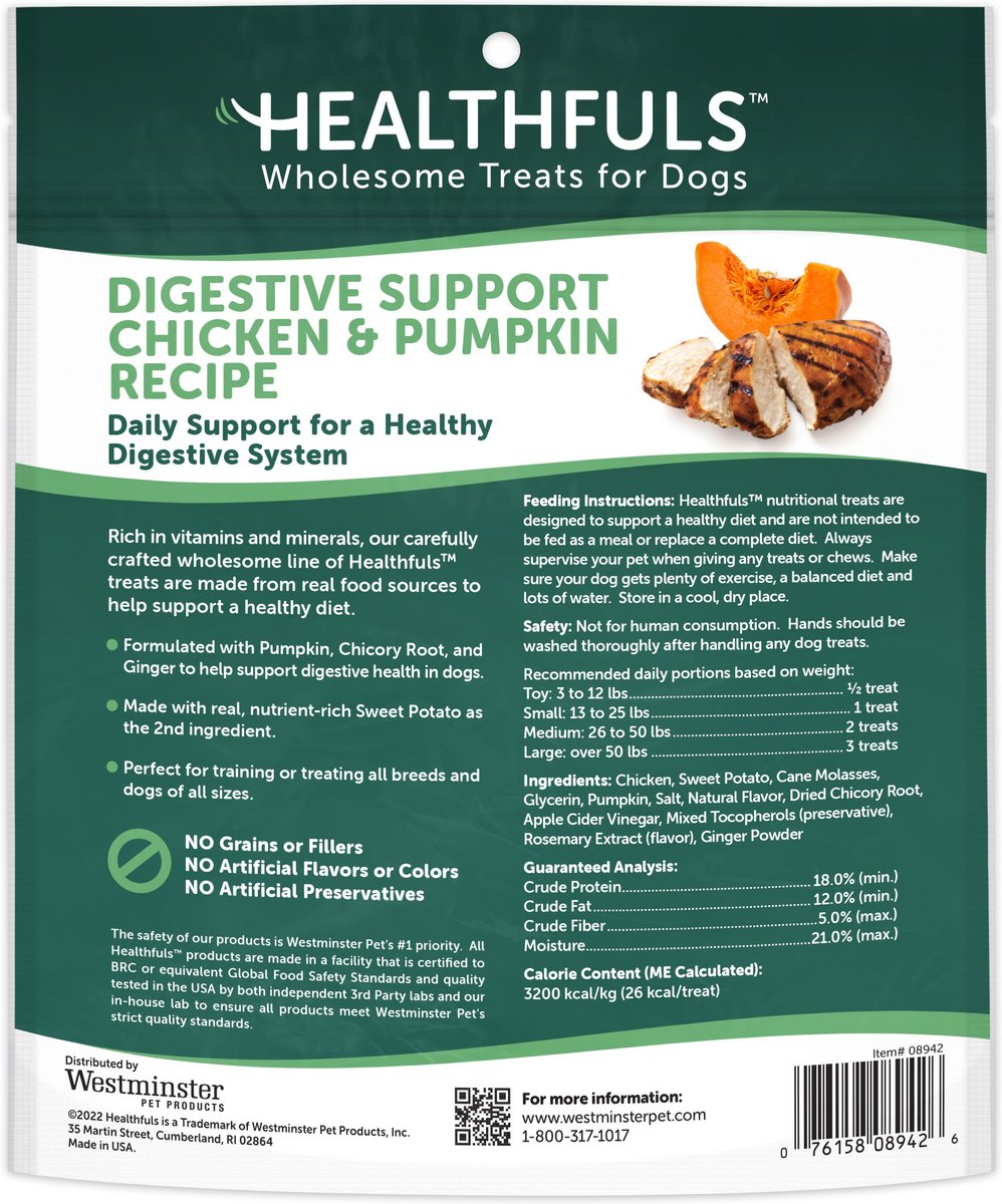 RUFFIN' IT Healthfuls Digestive Support Chicken and Pumpkin Recipe Dog Treats， 12-oz bag