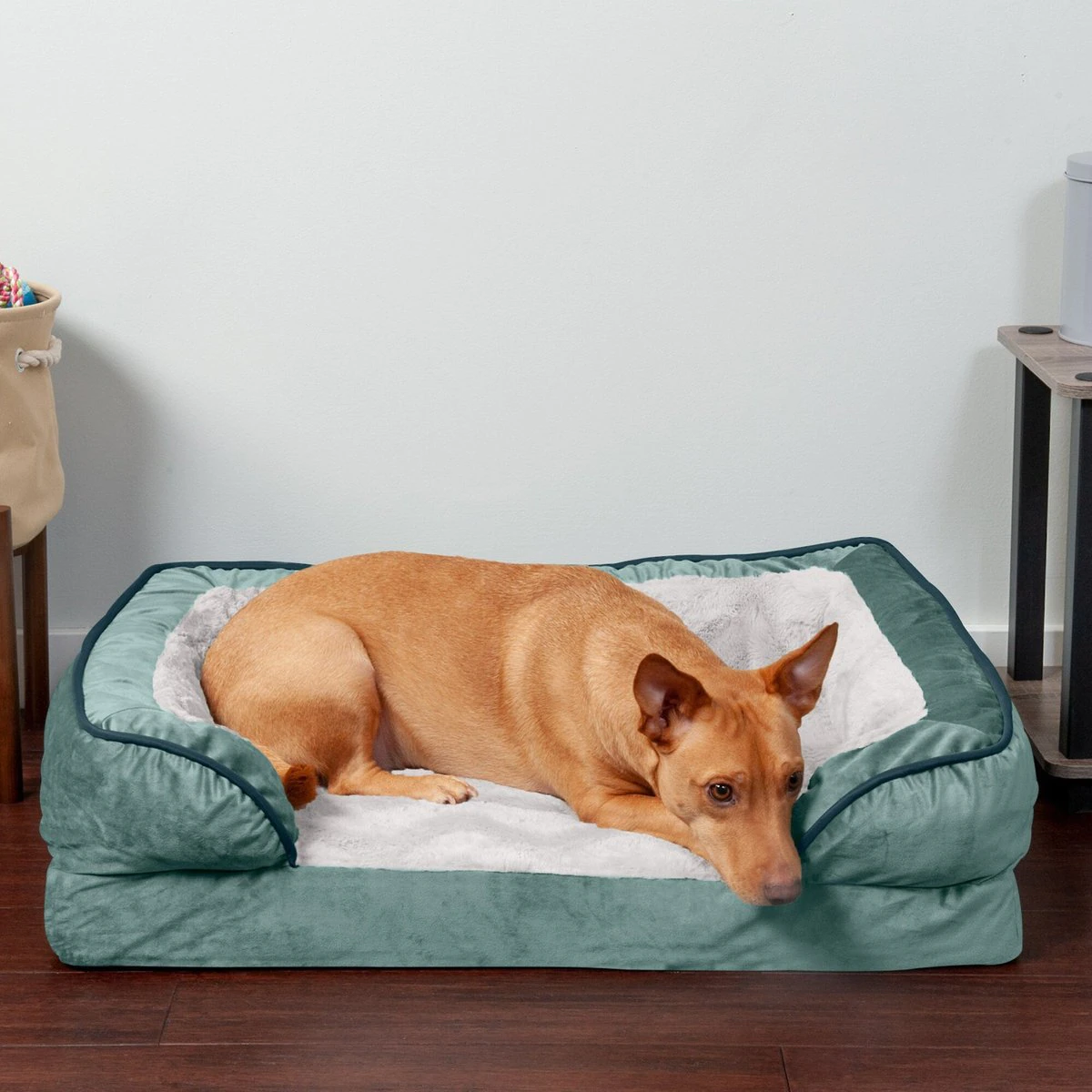 FurHaven Velvet Waves Perfect Comfort Orthopedic Sofa Cat and Dog Bed， Celadon Green， Medium