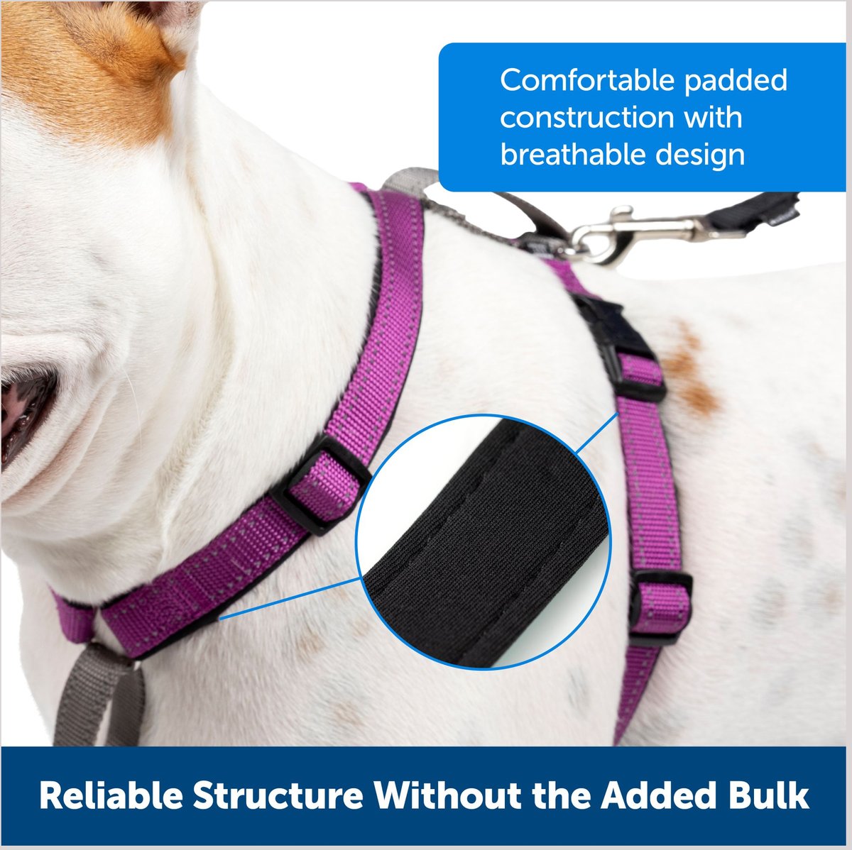 PetSafe 3-in-1 Reflective Dog Harness with Car Control Strap