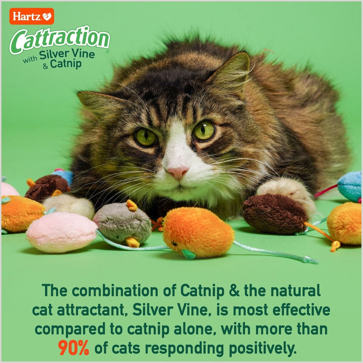 Hartz Cattraction Cat Toys with Catnip Variety Pack， 20 count