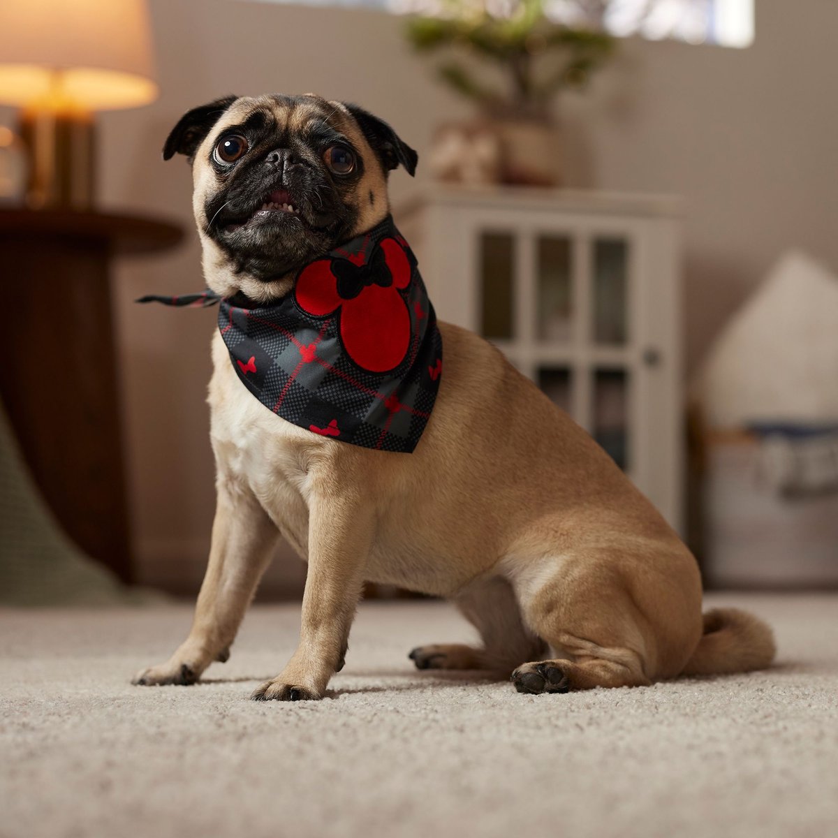 Disney Minnie Mouse Plaid Dog and Cat Bandana