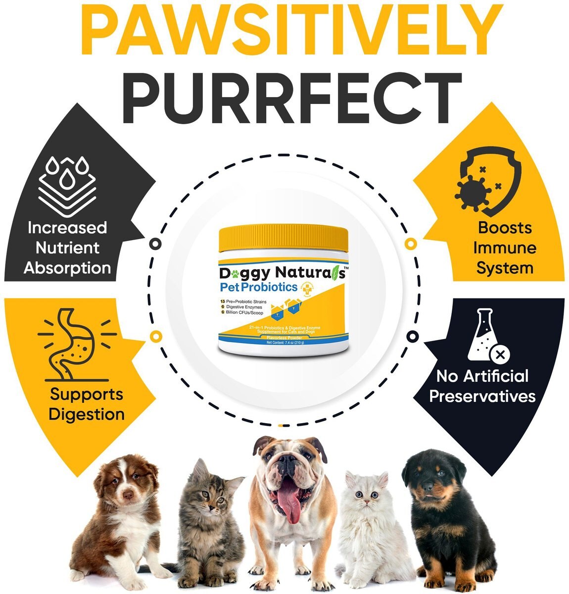 Pet Health Pharma Probiotics Advanced Max-Strength Cat and Dog Digestive Supplement， 7.4-oz bag