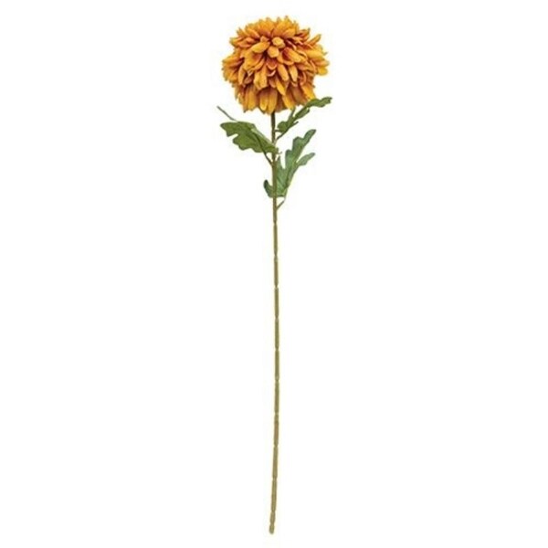 Chrysanthemum Branch 30