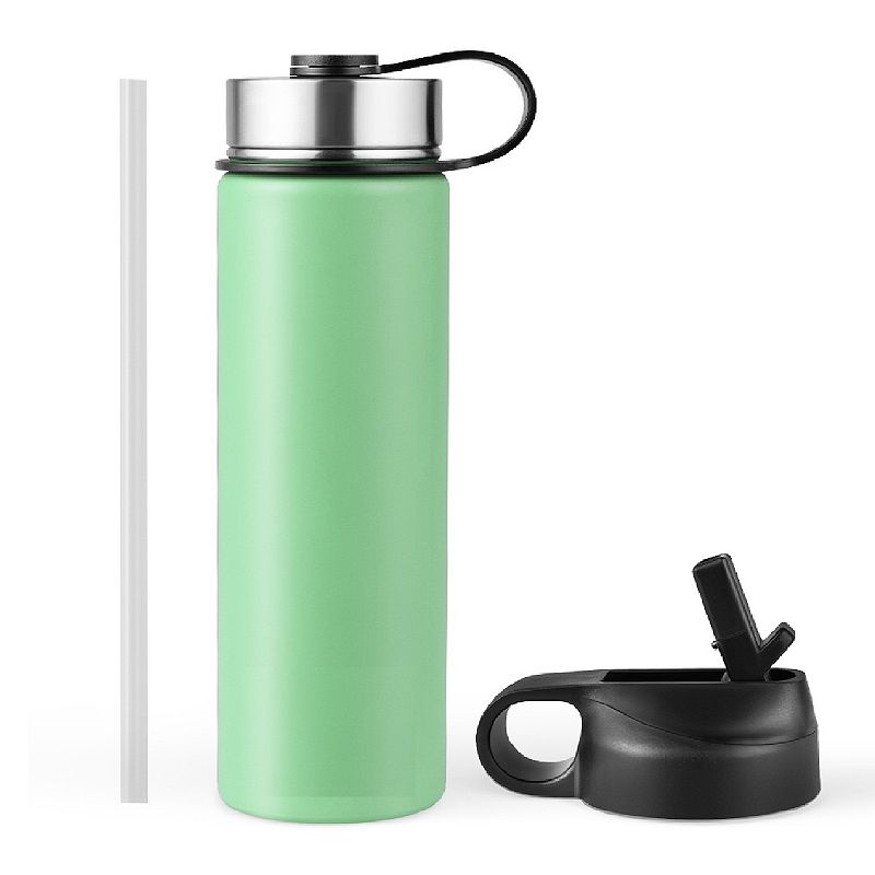 22 Oz Double-walled Insulated Stainless Steel Water Bottle with Straw Lid