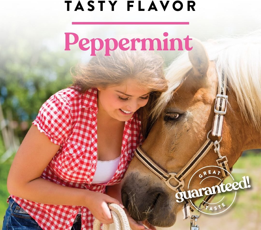 Manna Pro Bite-Size Nuggets Peppermint Flavored Horse Training Treats