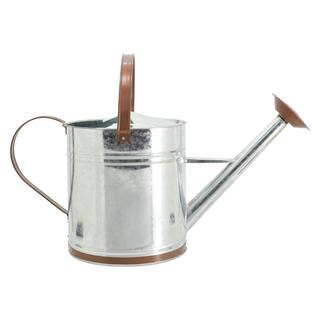 Arcadia Garden Products Classic 2.6 Gal. Chrome Metal Watering Can WC14