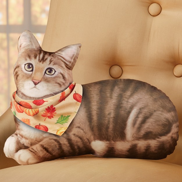 Collections Etc Cat Accent Pillow With Interchangeable Seasonal Bandanas 16 X 3 5 X 12