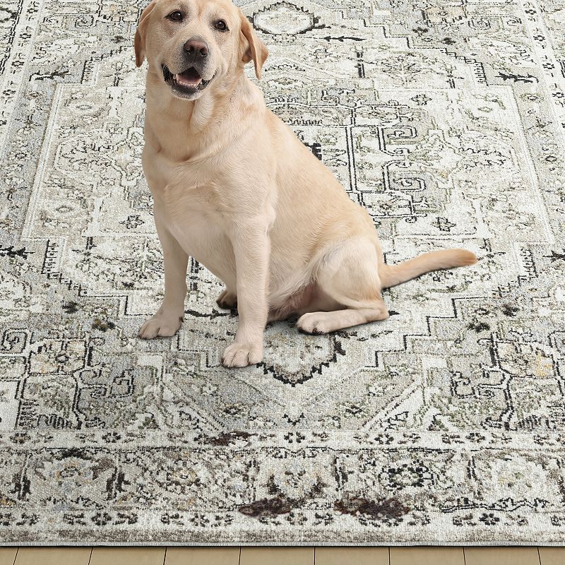 Everwash Treasure Rubia Traditional Medallion Area Rug