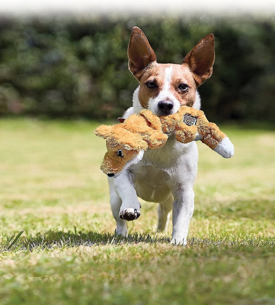 KONG Scrunch Knots Fox Dog Toy