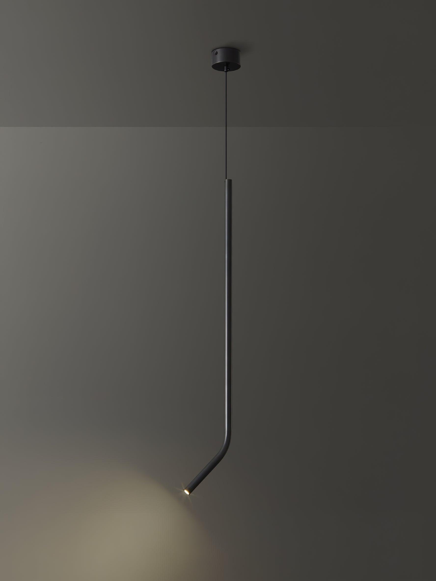 Bending Line Pendant Lamp