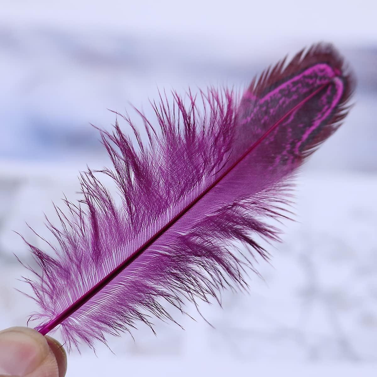 100 Pcs 2-3 Inch Rose Red Pheasant Feathers Bulk Various Colors Natural Feather Crafts Clothing Hat Sewing Decorating