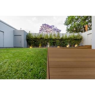 FORTRESS Infinity IS 5.5 in. x 6 in. Square Oasis Palm Brown Composite Deck Board Sample 194106210