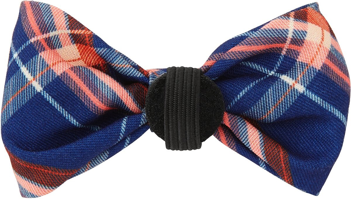 Frisco Fashion Bow， Blue Plaid， XS/SM