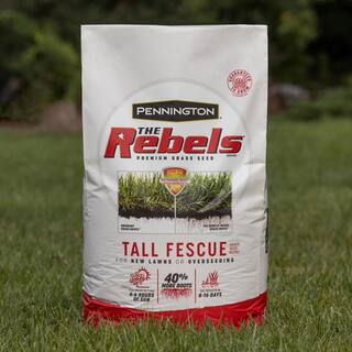 Pennington The Rebels 7 lbs. Tall Fescue Grass Seed Blend 100543729