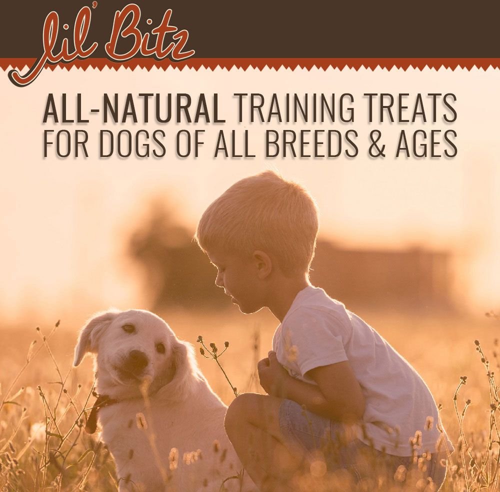 Lil' Bitz Hickory Smoked Beef Training Dog Treats