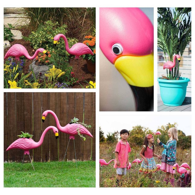 2pk Pink Flamingo Bloem