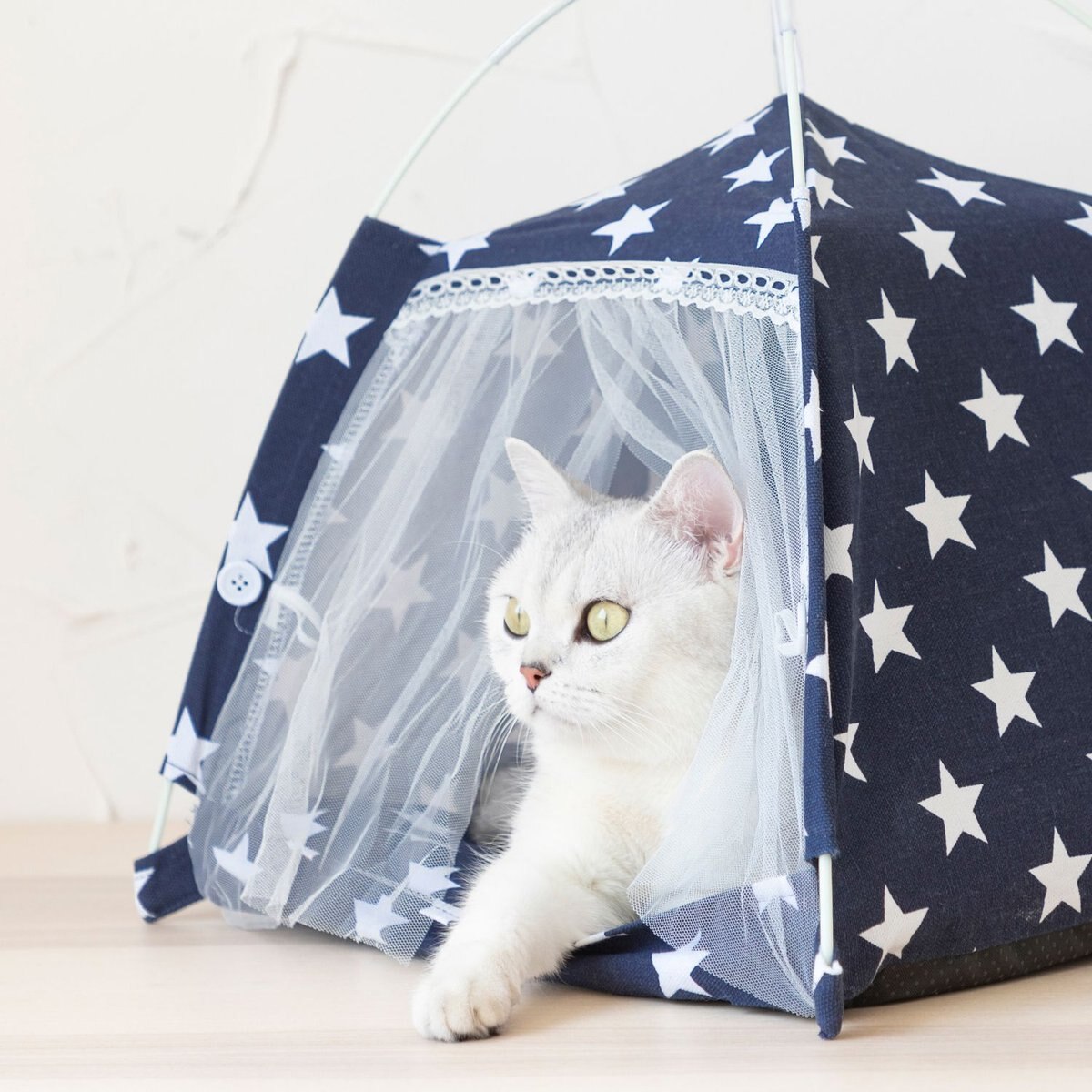 Lovely Caves Stars Dog and Cat Tent， Blue， Medium