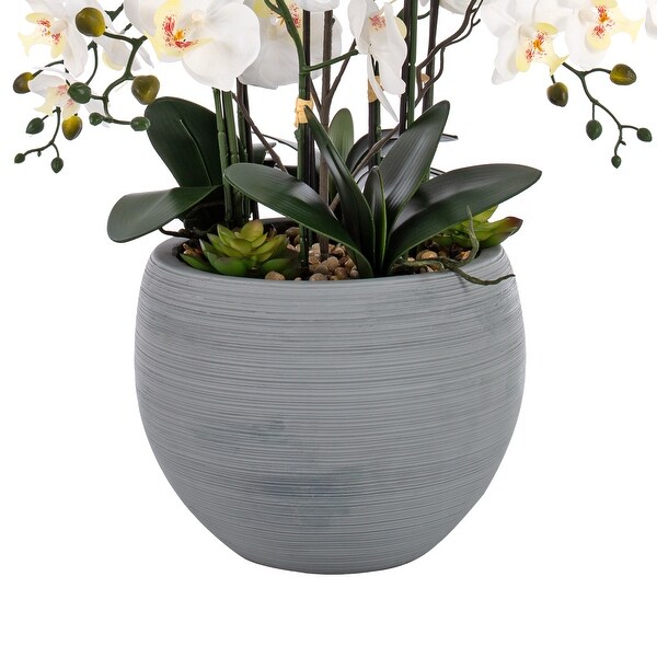 9 Stems Nearly Natural White Phalaenopsis Orchids with Succulents in White Magnesium Oxide Pot