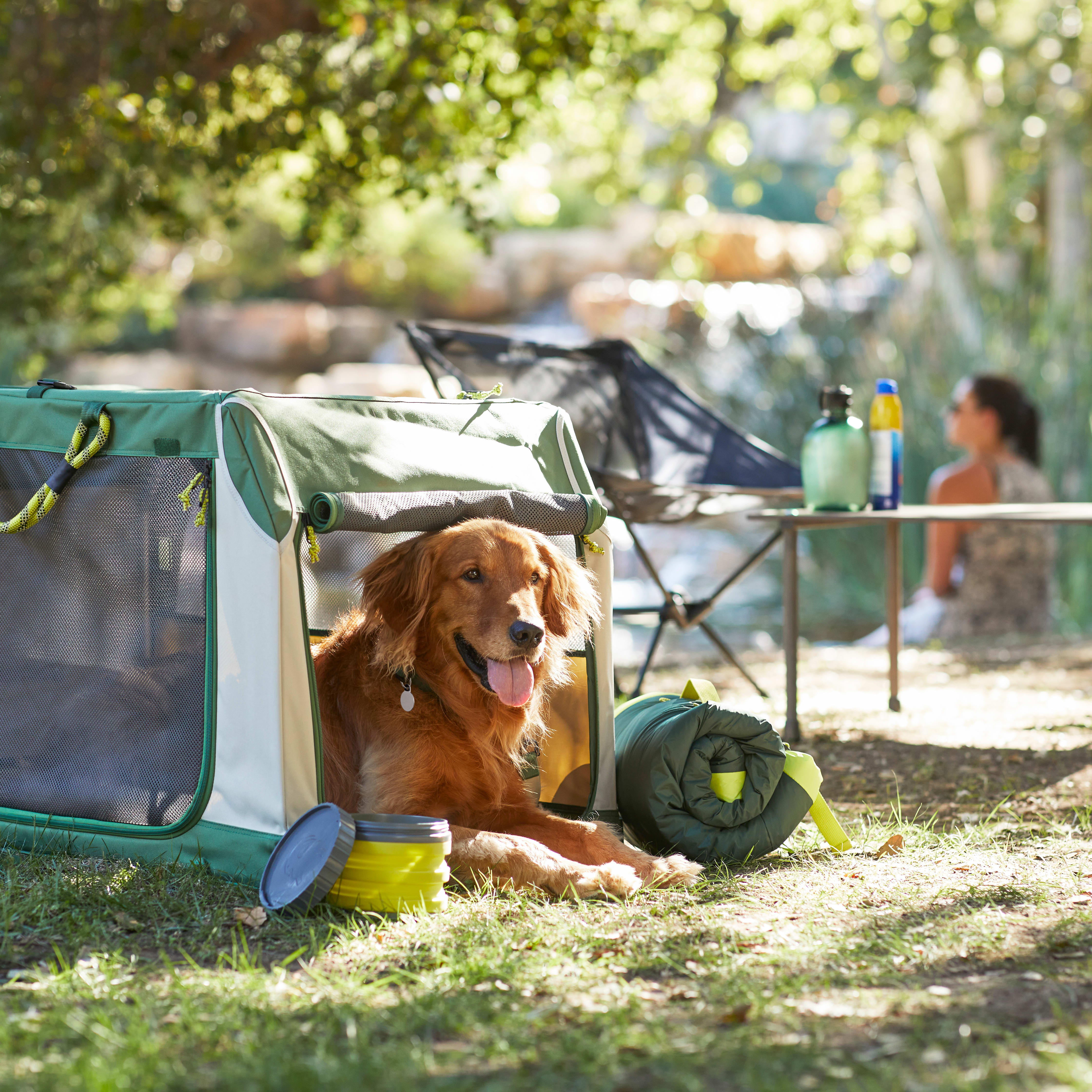 Backcountry x Petco The Foldable Dog Travel Crate， 24