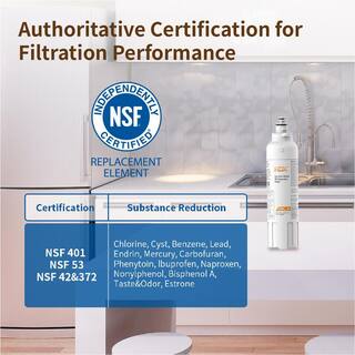 HDX HDX FML-4 Premium Refrigerator Water Filter Replacement For LG LT800P (2-Pack) FML-4