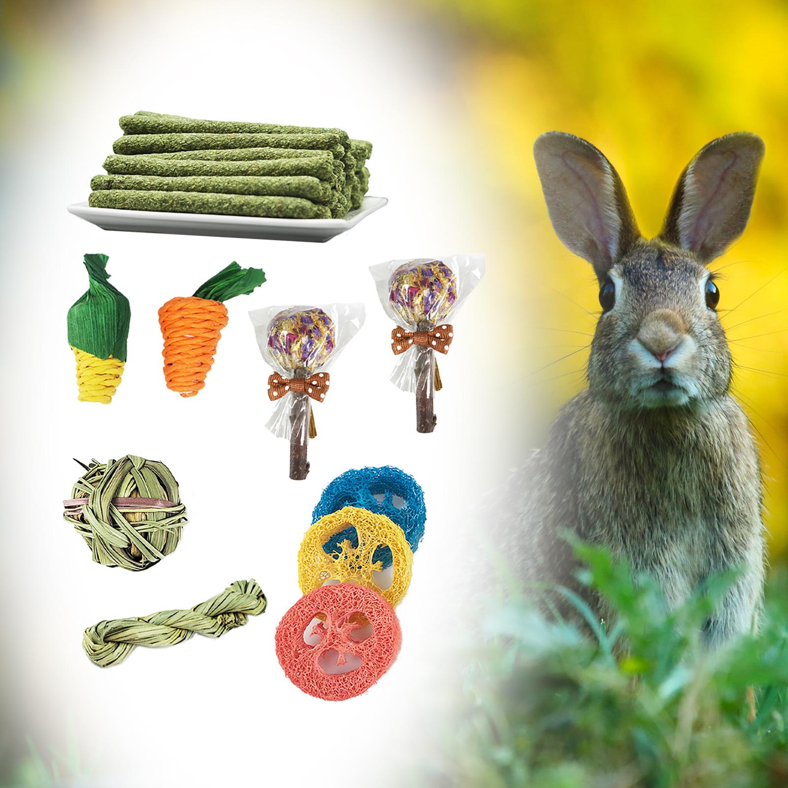 14pcs Rabbit Chew Toys Set Wooden Timothy Hay Sticks Flower Lollipops Guinea Pigs Chinchillas Hamster Molar Balls Entertainment Accessories