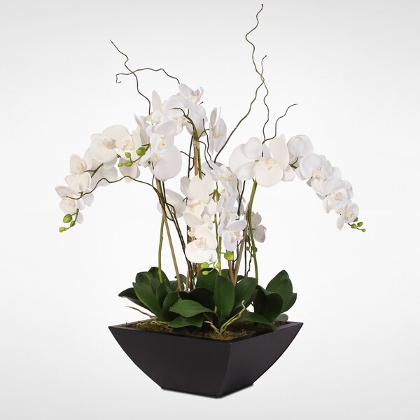 Real Touch White Phalaenopsis Orchids in a Black Metal Zinc Pot