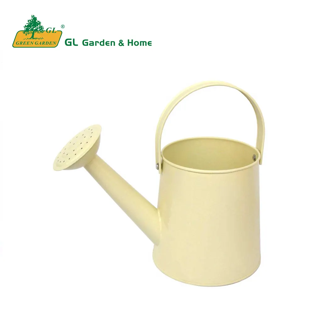 Home Indoor Large Capacity plant watering can galvanized watering can