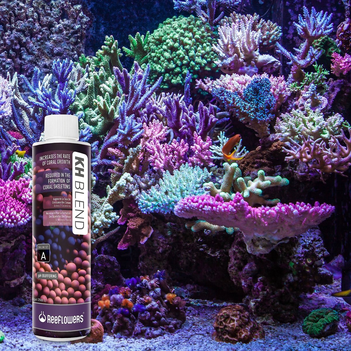 Reeflowers kH Blend A Aquarium Water Treatment