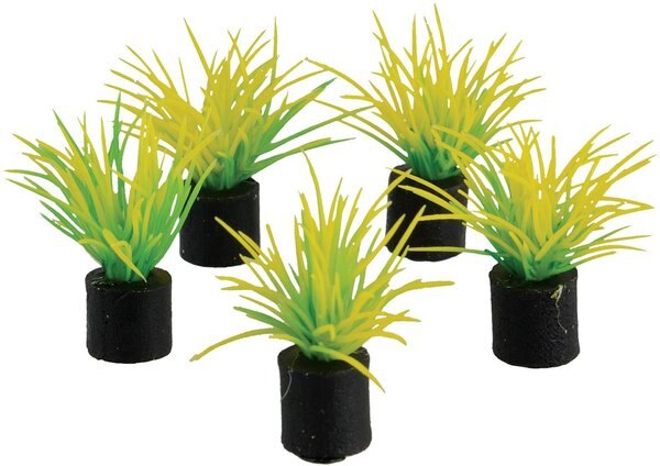 Underwater Treasures Mini Plant Spring Grass Fish Ornament， 5 count