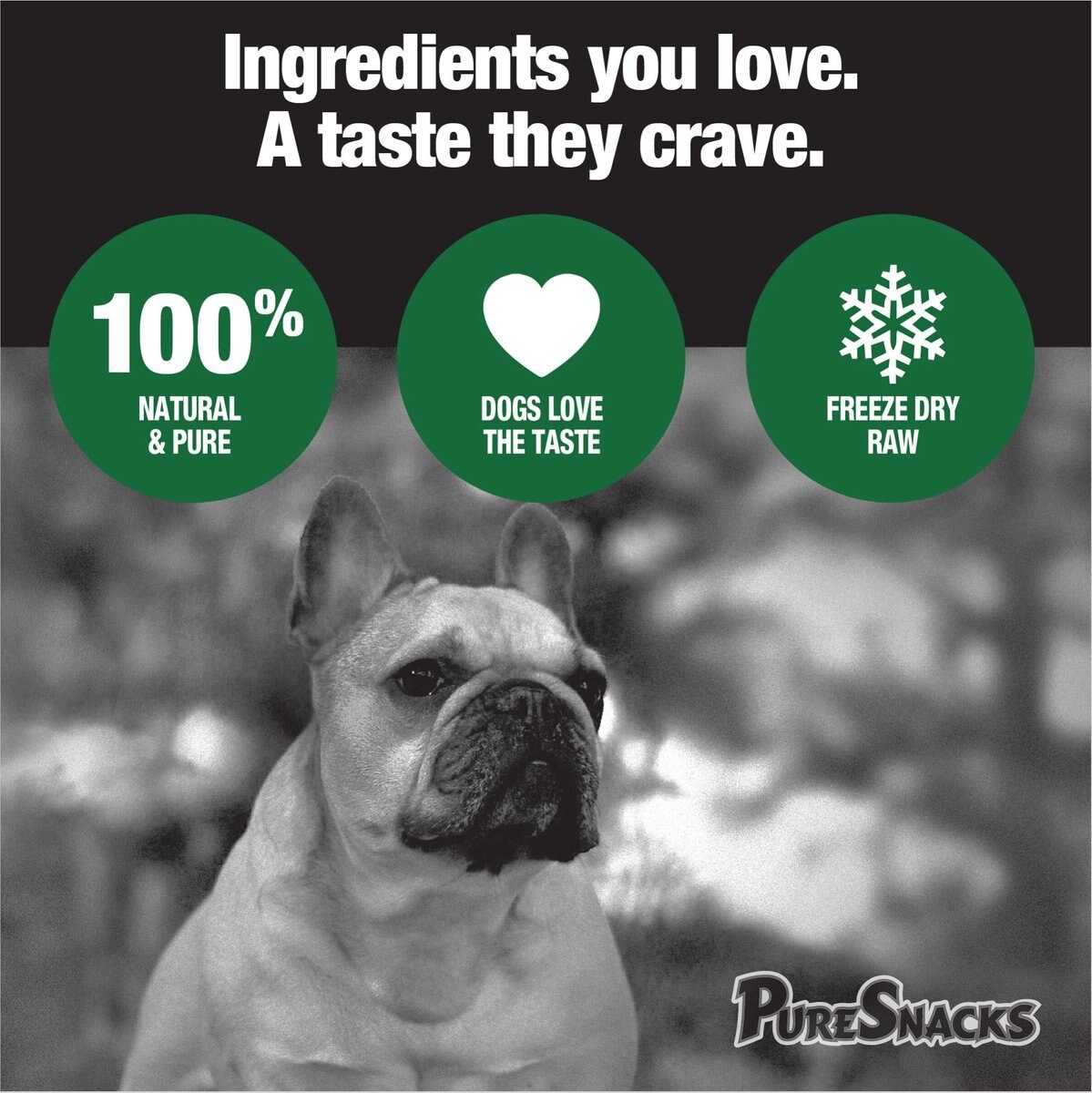 PureSnacks Beef Liver Freeze-Dried Dog Treats