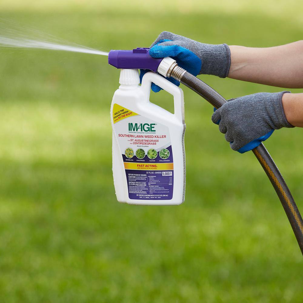 IMAGE 32 oz. Southern Lawn Weed Killer Ready-To-Spray 100530415