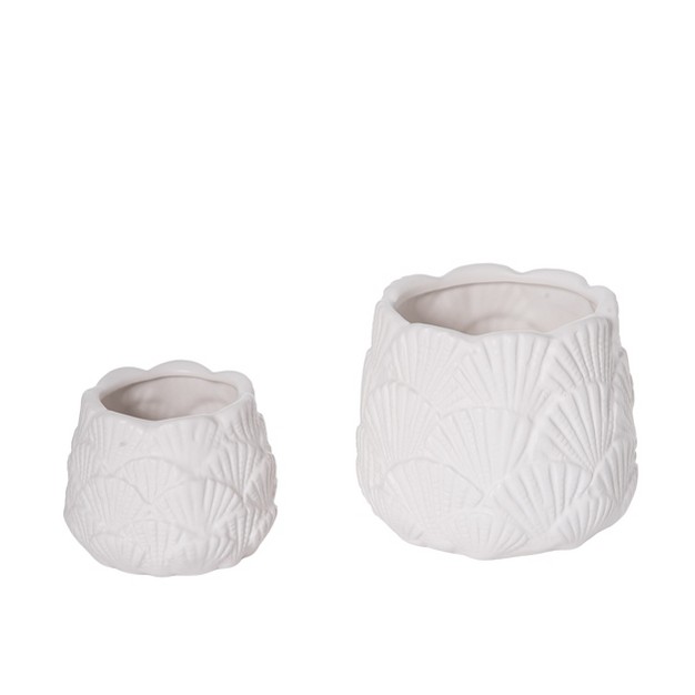 Transpac Dolomite 5 63 In White Spring Shell Containers Set Of 2