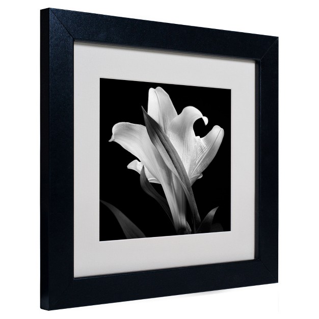 Trademark Fine Art michael Harrison x27 lily x27 Matted Framed Art